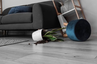 Oturma odasının zemininde altüst olmuş çiçek ve puf.