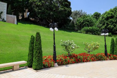 Güneşli bir günde parkta küçük ağaçlar ve parlak çiçeklerle dolu bir çiçek tarlası.