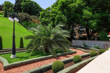 Güneşli bir günde yeşil bitkilerle dolu şehir parkı