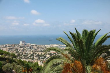 Güneşli bir günde güzel bir deniz kenarı manzarası