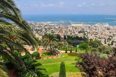 Tepedeki parktan güzel şehir manzarası