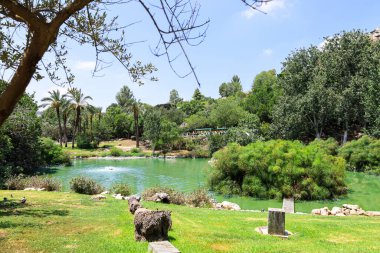 Göletli güzel bir park manzarası