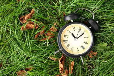 Kaliteli çalar saat ve yeşil çimlerin üzerine düşmüş yapraklar.