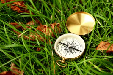 Yeşil çimlerin üzerinde altın pusula ve düşen yapraklar