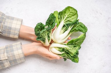 Hafif arka planda taze pak choi lahanalı kadın elleri