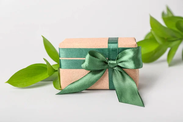 Beautiful gift box with plant branches on white background