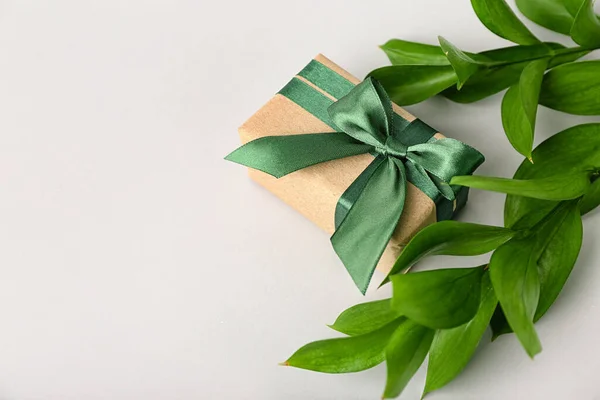 Beautiful gift box with plant branches on white background