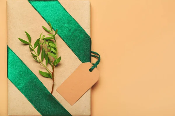 Gift box with plant branch on color background, closeup