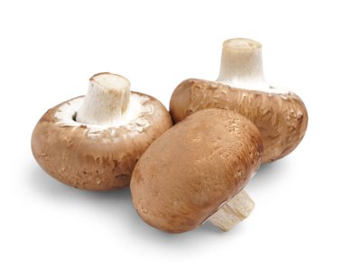 Beyaz arka plan üzerinde ham champignon mantar