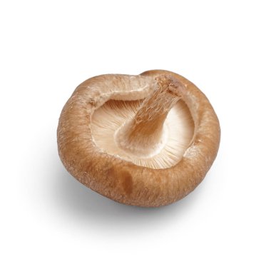 Beyaz arka planda izole edilmiş taze shiitake mantarı.