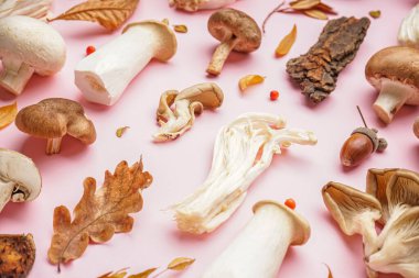 Farklı mantarlara sahip kompozisyon ve pembe arka planda orman dekoru, yakın plan.