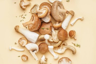 Renkli arka planda bir yığın taze mantar.