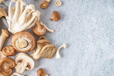 Hafif arka planda taze mantar yığını