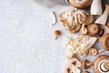 Hafif arka planda taze mantar yığını