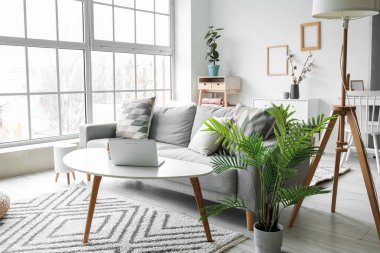 Gri kanepeli, masalı ve dizüstü bilgisayarlı aydınlık oturma odasının içi.