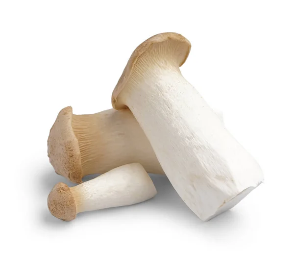 Heap Fresh King Oyster Mushrooms Isolated White Background — Stock Photo, Image