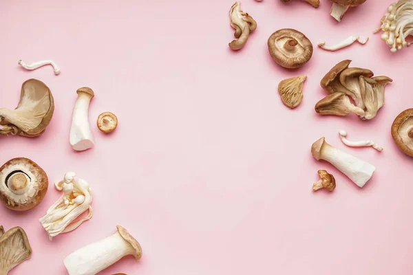Different Fresh Mushrooms Pink Background — Stock Photo, Image