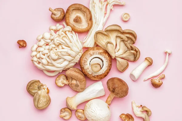 Heap Different Fresh Mushrooms Pink Background — Stock Photo, Image