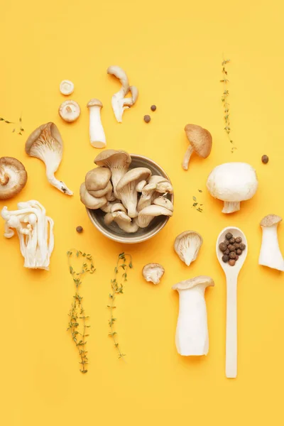 Composition Different Mushrooms Spices Color Background — Stock Photo, Image