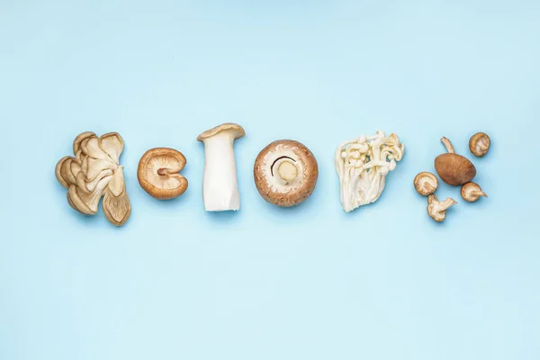 Set Different Mushrooms Color Background — Stock Photo, Image