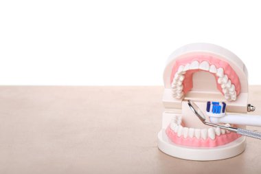 Beyaz arkaplana karşı bej tablo üzerinde fırça ve diş aracı ile çene modeli