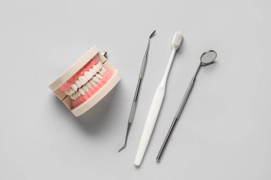 Gri arkaplanda çene modeli, diş aletleri ve diş fırçası