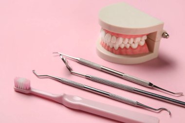 Pembe arka planda diş fırçası ve diş aletleri ile çene modeli, yakın plan