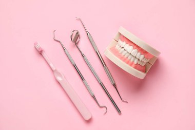 Pembe arka planda diş fırçası ve diş aletleri ile çene modeli