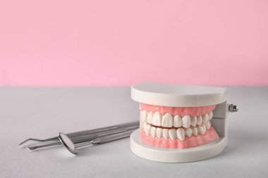 Pembe arkaplan üzerinde diş araçları ile çene modeli