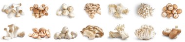 Set of fresh mushrooms on white background