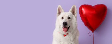 White dog and balloon on lilac background with space for text. Valentine's Day celebration