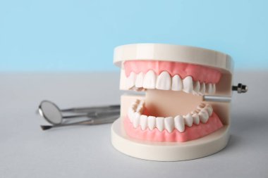 Jaw model with dental tools on table against blue background, closeup