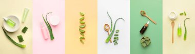 Collage of fresh aloe vera leaves and natural cosmetic products on color background