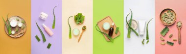Set of fresh aloe vera leaves and natural cosmetic products on color background