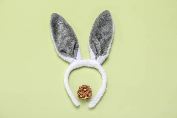 Yeşil Arka Planda Köknar Konisi Olan Tavşan Kulakları — Stok fotoğraf