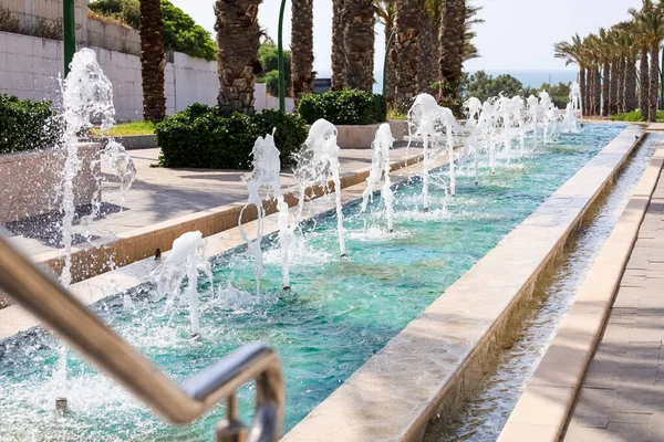 View Beautiful Fountain Palm Trees City — Stockfoto