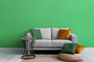 Interior of living room with grey sofa, table and houseplant near green wall