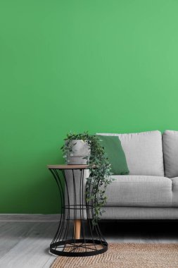 Grey sofa with pillows, table and houseplant near green wall