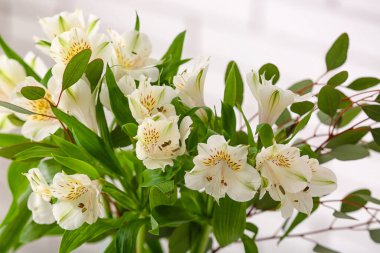 Bouquet of beautiful alstroemeria flowers, closeup