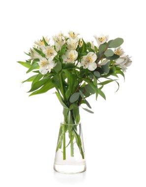 Vase with beautiful alstroemeria flowers isolated on white background