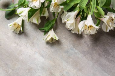Beautiful alstroemeria flowers on grunge background, closeup