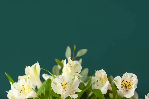 Delicate Alstroemeria Flowers Color Background Closeup — Stock Photo, Image
