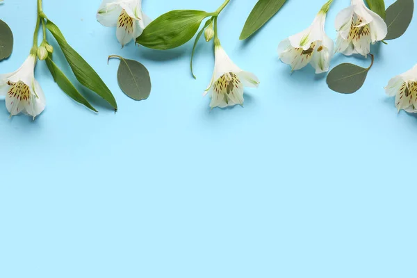 Composition White Alstroemeria Flowers Eucalyptus Leaves Color Background — Stock Photo, Image