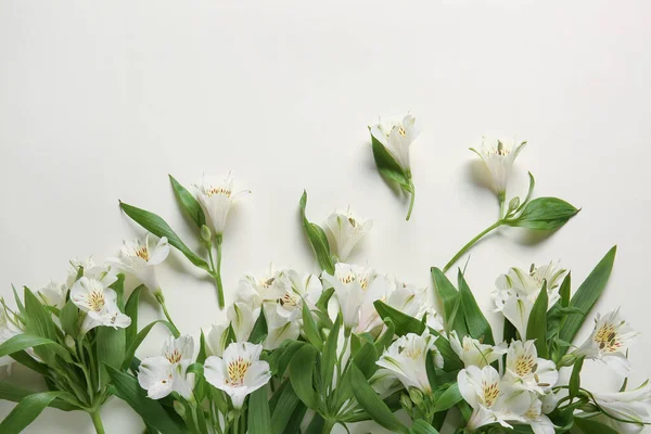 Composition Delicate Alstroemeria Flowers White Background — Stock Photo, Image
