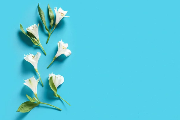 Composition White Alstroemeria Flowers Blue Background — Stock Photo, Image