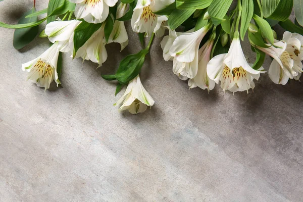 Beautiful Alstroemeria Flowers Grunge Background Closeup — Stock Photo, Image