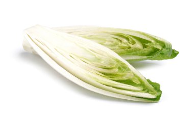 Halves of fresh endive isolated on white background