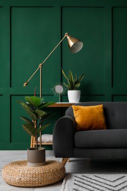 Interior of living room with black sofa, houseplants and lamp near green wall