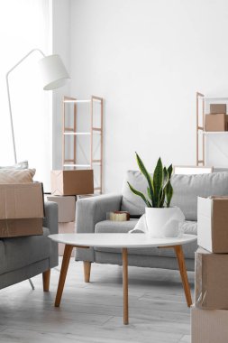 Cardboard boxes with table and sofas in living room on moving day