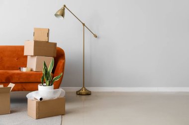 Cardboard boxes with red sofa, houseplant and lamp in living room on moving day